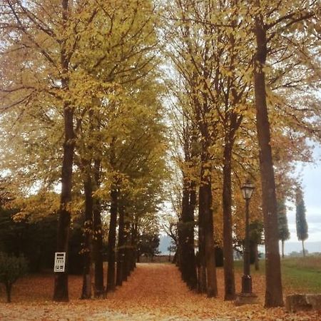 Relais Villa Gozzi B&B Arcugnano Eksteriør billede
