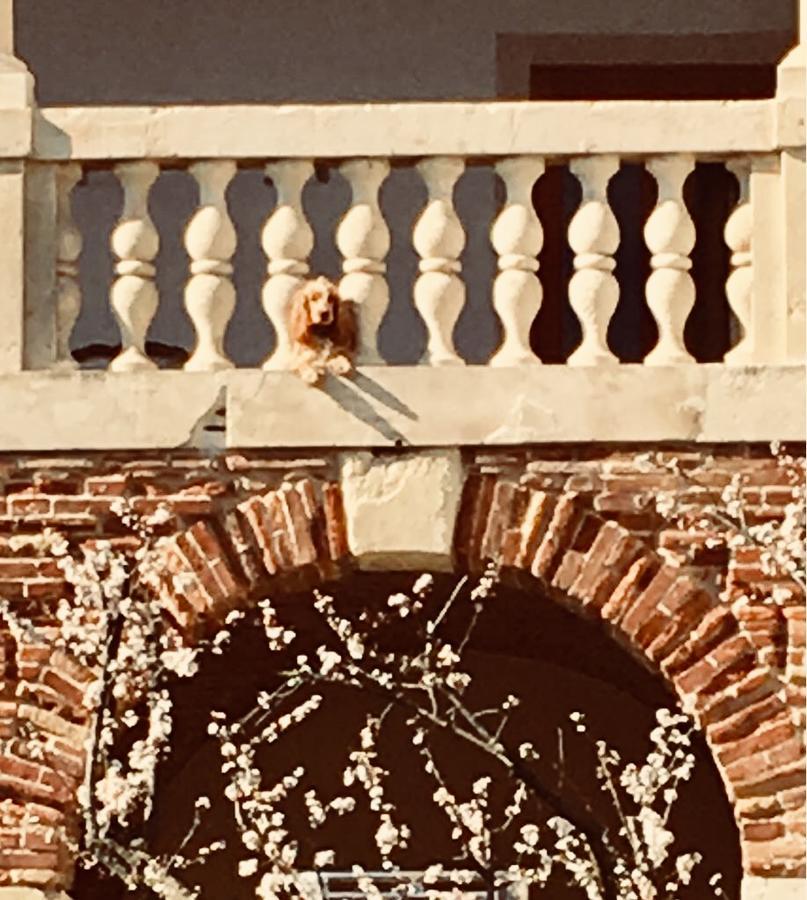 Relais Villa Gozzi B&B Arcugnano Eksteriør billede