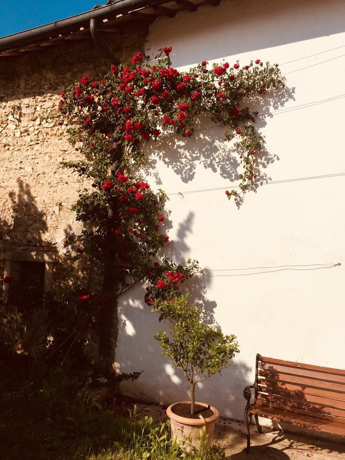 Relais Villa Gozzi B&B Arcugnano Eksteriør billede