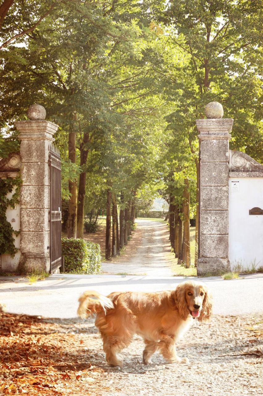 Relais Villa Gozzi B&B Arcugnano Eksteriør billede